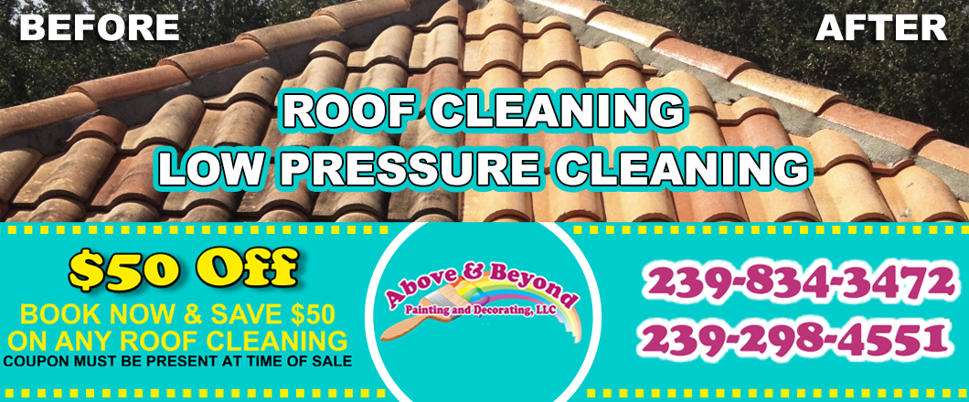 Roof Cleaning company